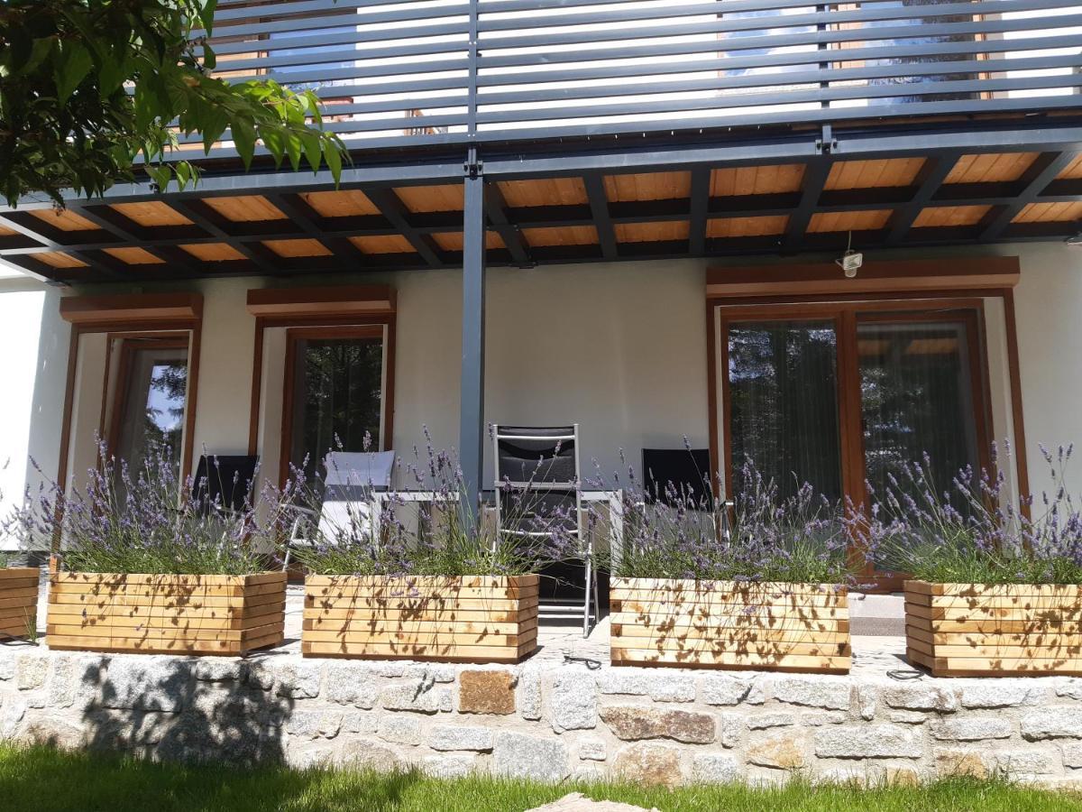 Apartamenty Przy Swierku Szklarska Poręba Εξωτερικό φωτογραφία
